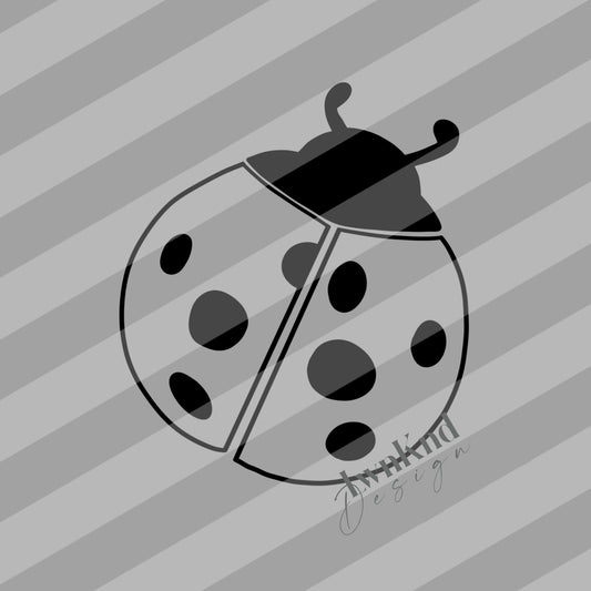 Ladybug